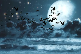 edit relaxing nature video, aesthetic rain and music background video
