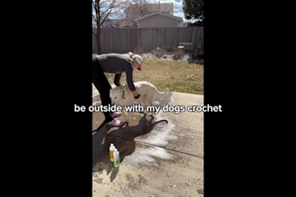 create female authentic ugc videos for instagram reels or tiktok