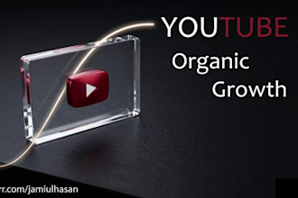 promote youtube videos with local and targeted SEO campaigns