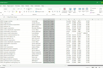 clean, format and remove duplicates from excel data