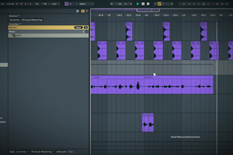 mix and master your song with my knowledge and your imagination