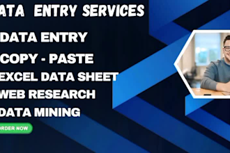 data entry, copy paste google excel sheet web reseach