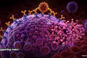 create medical animation 3d medical animation and surgical animation