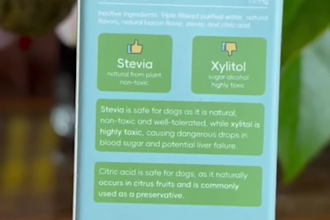 create authentic ugc pet videos for your brand