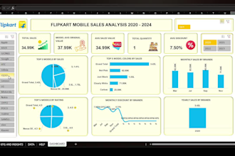 create professional excel mis reports and dashboards