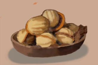 draw a custom illustrated menu for your cafe, bakery or restaurant