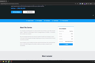 design a plumber wordpress website