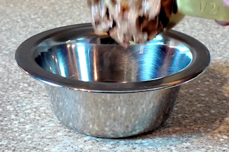 create engaging pet ugc video for tiktok, reels, or facebook