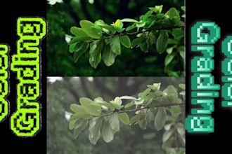 do professional audiovisual editing, music sync and ai video