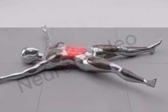 create professional 3d workout and exercise animation videos