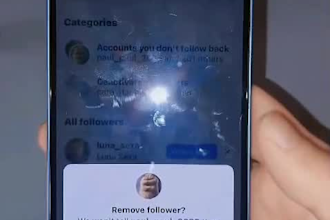 manually unfollow, remove fake followers, delete posts