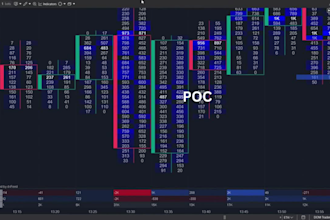 edit beginner to advanced trading course videos