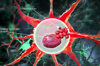do 3d medication drug interaction animation drug mechanism design and rendering