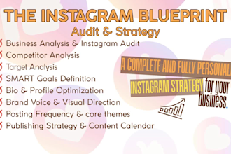 create a custom instagram audit and content growth strategy