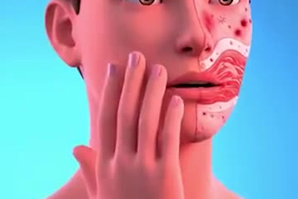 create high end 3d medical, biomedical, scientific, anatomy, and product animati