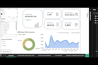 create professional power bi dashboards and data analysis
