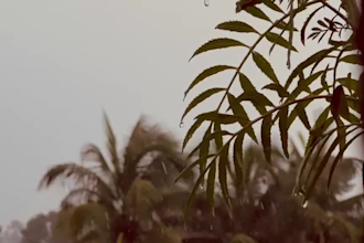 create authentic lifestyle photos and videos of bangladesh