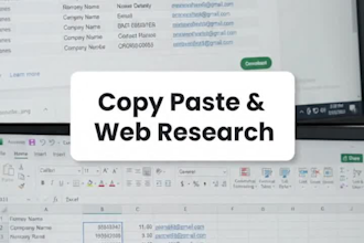 do any small task data entry copy paste typing and more