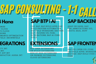 provide consulting calls on s4 hana, btp, cap, rap, fiori, build
