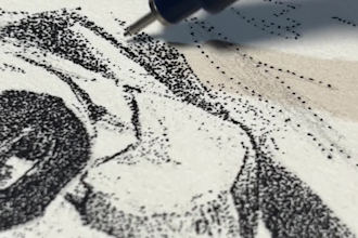 create a professional stippling and dotwork ink illustration