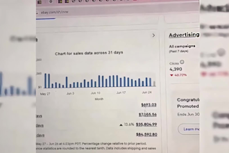 be your expert monthly ebay virtual assistant for store management and SEO