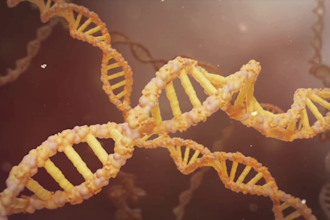 custom 2d 3d medical animation, 3d medical product explainer, anatomy explainer