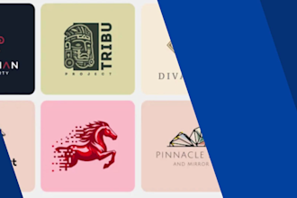create a premium brand identity system