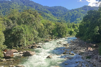help with anything in india