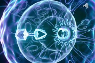 create 3d mechanism of action moa or pharmaceutical animation