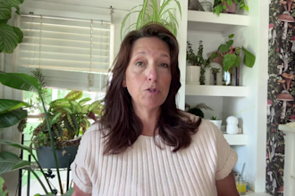 create travel ugc videos to showcase your brand
