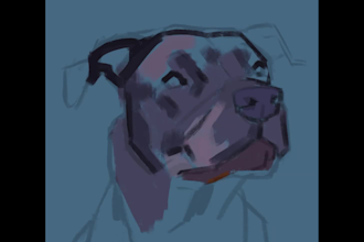 create digital pet portraits