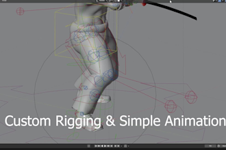 do custom 3d character rigging in blender
