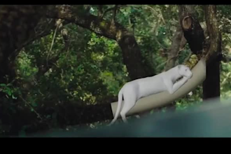create realistic vfx, cgi, motion tracking, compositing and visual effects