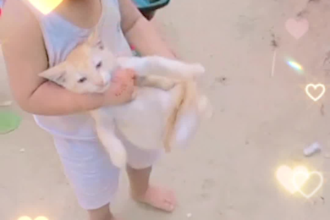 edit professional farming and islamic social media videos