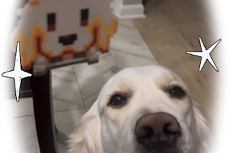 make a custom bead or clay pet keychain from your photo