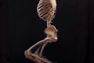 create high rpm viral ai skeleton story shorts like dr data for monetization