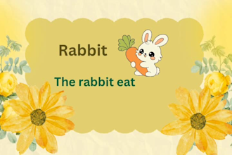create educational flashcards for kids