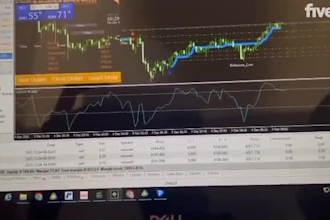 build profitable forex trading bot, gold ea, forex ea robot, trading robot
