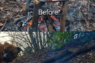enhance and color grade your photos and videos