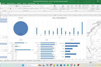 excel data processing expert