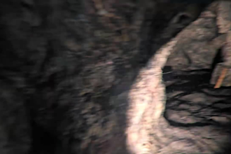 create 3d first person horror animation for youtube or game intro