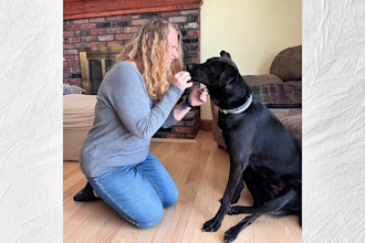 create dog ugc video ads for tiktok instagram or facebook