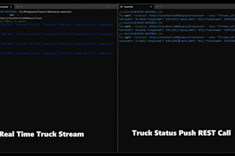 develop golang go server applications