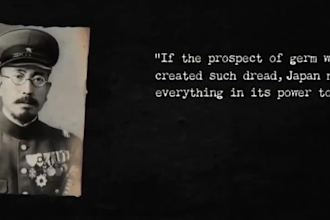 professional fern style documentary video editor