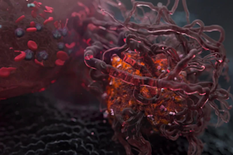 do 3d pharmaceutical immunotherapy medical anatomy biotech drug moa animation
