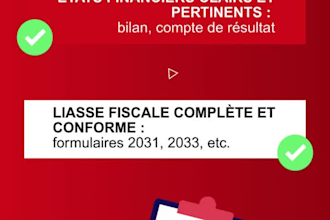 do french bookkeeping, tax return and financial statements for your company