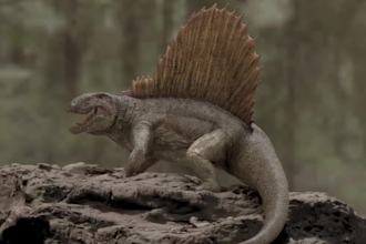 create realistic 3d animal animation cgi animal models for film and games