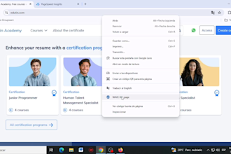 perform web accessibility testing and wcag audits