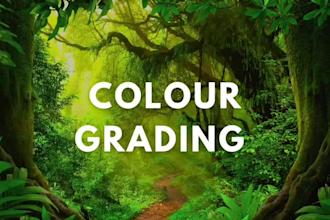 do proffessional video editing and animations