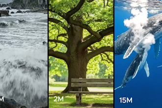 create ai facebook reels bunker videos